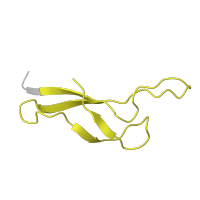 The deposited structure of PDB entry 5mlc contains 1 copy of Pfam domain PF00471 (Ribosomal protein L33) in Large ribosomal subunit protein bL33c. Showing 1 copy in chain Z [auth 3].