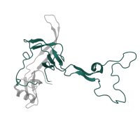 The deposited structure of PDB entry 5mlc contains 1 copy of Pfam domain PF00297 (Ribosomal protein L3) in Large ribosomal subunit protein uL3c. Showing 1 copy in chain E.