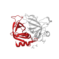 The deposited structure of PDB entry 5mm6 contains 1 copy of CATH domain 2.40.10.10 (Thrombin, subunit H) in Thrombin heavy chain. Showing 1 copy in chain B [auth H].