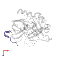 Hirudin variant-2 in PDB entry 5mm6, assembly 1, top view.