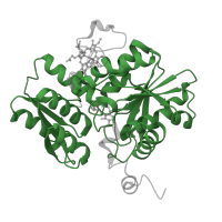 The deposited structure of PDB entry 5mms contains 6 copies of Pfam domain PF00291 (Pyridoxal-phosphate dependent enzyme) in Cystathionine beta-synthase. Showing 1 copy in chain D.