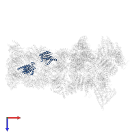 Proteasome subunit beta type-3 in PDB entry 5mpc, assembly 1, top view.