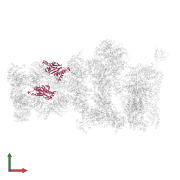 Proteasome subunit beta type-5 in PDB entry 5mpc, assembly 1, front view.