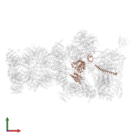 26S proteasome regulatory subunit 8 homolog in PDB entry 5mpc, assembly 1, front view.