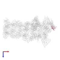 26S proteasome regulatory subunit RPN13 in PDB entry 5mpc, assembly 1, top view.