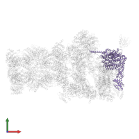 26S proteasome regulatory subunit RPN2 in PDB entry 5mpc, assembly 1, front view.