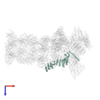 26S proteasome regulatory subunit RPN5 in PDB entry 5mpc, assembly 1, top view.