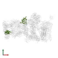 Proteasome subunit alpha type-5 in PDB entry 5mpc, assembly 1, front view.