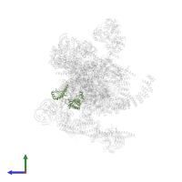 Pre-mRNA-splicing factor SLT11 in PDB entry 5mq0, assembly 1, side view.