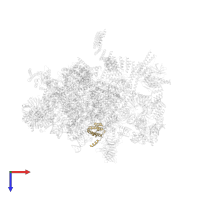 Pre-mRNA-splicing factor 18 in PDB entry 5mq0, assembly 1, top view.