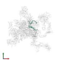 Yeast UBC4 gene for ubiquitin-conjugating enzyme in PDB entry 5mq0, assembly 1, front view.