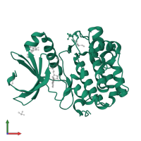3-phosphoinositide-dependent protein kinase 1 in PDB entry 5mrd, assembly 1, front view.