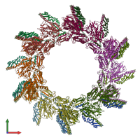 PDB entry 5myu coloured by chain, ensemble of 3 models, front view.