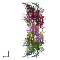 PDB entry 5myu coloured by chain, ensemble of 3 models, side view.