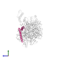 Chromatin-remodeling ATPase INO80 in PDB entry 5nbn, assembly 1, side view.