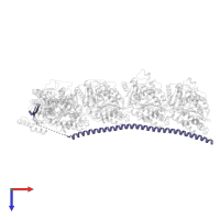 Stathmin-4 in PDB entry 5ng1, assembly 1, top view.