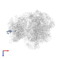 Small ribosomal subunit protein uS10 in PDB entry 5ngm, assembly 1, top view.