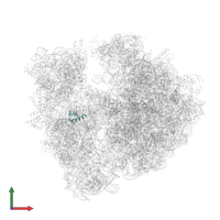 Small ribosomal subunit protein bS18 in PDB entry 5ngm, assembly 1, front view.