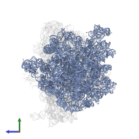 23S ribosomal RNA in PDB entry 5ngm, assembly 1, side view.