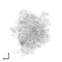 Large ribosomal subunit protein uL3 in PDB entry 5ngm, assembly 1, side view.