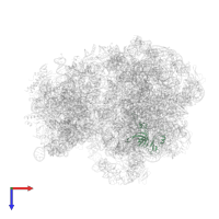 Large ribosomal subunit protein uL3 in PDB entry 5ngm, assembly 1, top view.