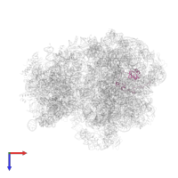 Large ribosomal subunit protein uL15 in PDB entry 5ngm, assembly 1, top view.