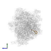 Large ribosomal subunit protein uL23 in PDB entry 5ngm, assembly 1, side view.