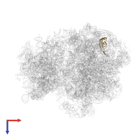 Large ribosomal subunit protein uL23 in PDB entry 5ngm, assembly 1, top view.