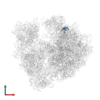 50S ribosomal protein L27 in PDB entry 5ngm, assembly 1, front view.