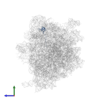 50S ribosomal protein L27 in PDB entry 5ngm, assembly 1, side view.