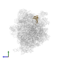 Small ribosomal subunit protein uS7 in PDB entry 5ngm, assembly 1, side view.