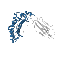 The deposited structure of PDB entry 5nht contains 1 copy of CATH domain 3.30.500.10 (Murine Class I Major Histocompatibility Complex, H2-DB; Chain A, domain 1) in HLA class I histocompatibility antigen, A alpha chain. Showing 1 copy in chain A [auth H].