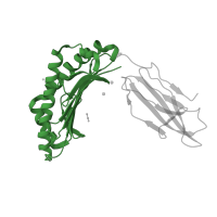 The deposited structure of PDB entry 5nht contains 1 copy of Pfam domain PF00129 (Class I Histocompatibility antigen, domains alpha 1 and 2) in HLA class I histocompatibility antigen, A alpha chain. Showing 1 copy in chain A [auth H].