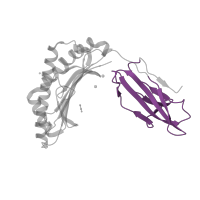 The deposited structure of PDB entry 5nht contains 1 copy of Pfam domain PF07654 (Immunoglobulin C1-set domain) in HLA class I histocompatibility antigen, A alpha chain. Showing 1 copy in chain A [auth H].