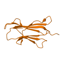 The deposited structure of PDB entry 5nht contains 1 copy of CATH domain 2.60.40.10 (Immunoglobulin-like) in Beta-2-microglobulin. Showing 1 copy in chain B [auth L].