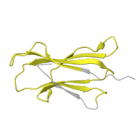 The deposited structure of PDB entry 5nht contains 1 copy of Pfam domain PF07654 (Immunoglobulin C1-set domain) in Beta-2-microglobulin. Showing 1 copy in chain B [auth L].