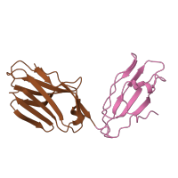 The deposited structure of PDB entry 5nht contains 2 copies of CATH domain 2.60.40.10 (Immunoglobulin-like) in Ig-like domain-containing protein. Showing 2 copies in chain D [auth A].