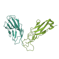 The deposited structure of PDB entry 5nht contains 2 copies of CATH domain 2.60.40.10 (Immunoglobulin-like) in Ig-like domain-containing protein. Showing 2 copies in chain E [auth B].