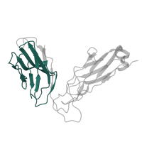 The deposited structure of PDB entry 5nht contains 1 copy of Pfam domain PF07686 (Immunoglobulin V-set domain) in Ig-like domain-containing protein. Showing 1 copy in chain E [auth B].