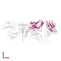 Ig-like domain-containing protein in PDB entry 5nht, assembly 1, front view.