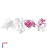 Ig-like domain-containing protein in PDB entry 5nht, assembly 1, top view.