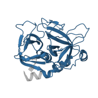 The deposited structure of PDB entry 5nhu contains 3 copies of Pfam domain PF00089 (Trypsin) in Thrombin heavy chain. Showing 1 copy in chain B [auth H].