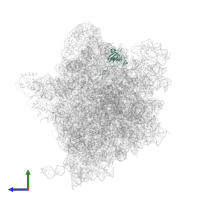 Small ribosomal subunit protein uS9 in PDB entry 5njt, assembly 1, side view.