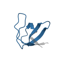 The deposited structure of PDB entry 5nuh contains 2 copies of Pfam domain PF00018 (SH3 domain) in Tyrosine-protein kinase HCK. Showing 1 copy in chain D.