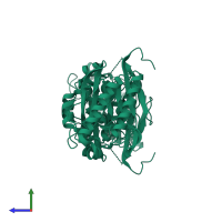 CN hydrolase domain-containing protein in PDB entry 5nyb, assembly 1, side view.