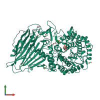 PDB entry 5o0s coloured by chain, front view.