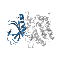 The deposited structure of PDB entry 5o23 contains 2 copies of CATH domain 3.30.200.20 (Phosphorylase Kinase; domain 1) in Serine/threonine-protein kinase WNK3. Showing 1 copy in chain B.