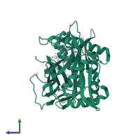 Glycylpeptide N-tetradecanoyltransferase in PDB entry 5o4v, assembly 2, side view.