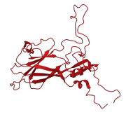 The deposited structure of PDB entry 5o5b contains 1 copy of CATH domain 2.60.120.20 (Jelly Rolls) in Capsid proteins. Showing 1 copy in chain A [auth 1].