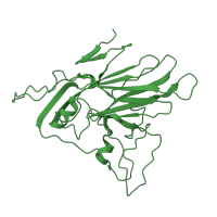 The deposited structure of PDB entry 5o5b contains 1 copy of CATH domain 2.60.120.20 (Jelly Rolls) in Capsid proteins. Showing 1 copy in chain B [auth 2].